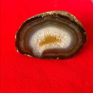 Natural Agate Geode Slice - Brown and Cream